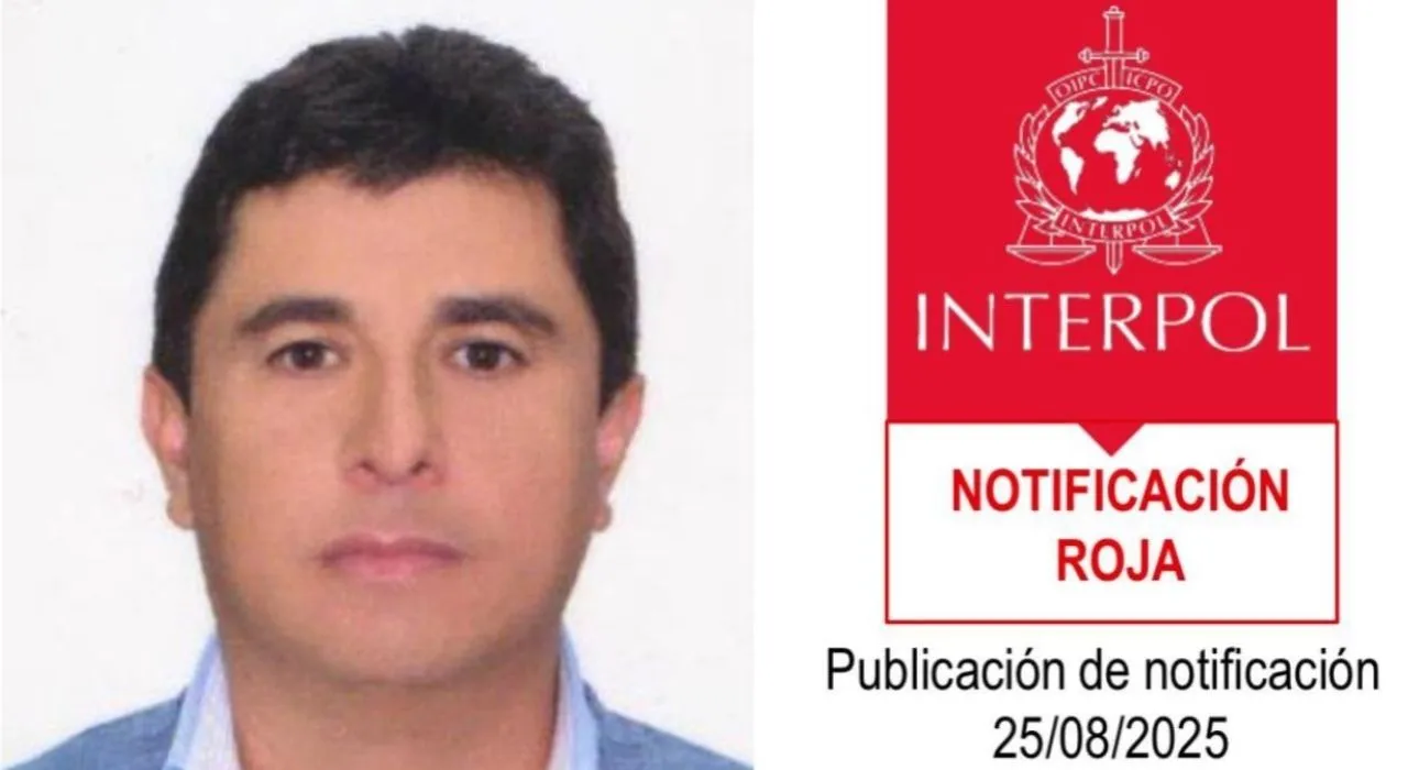 imagen dada